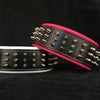 "Silver Giant" collar by Bestia Dog Gear