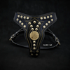 The "Maximus" harness V2 by Bestia Dog Gear