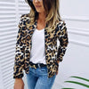 Sizzling Stylish Women's Long Sleeve Jacket Sweater Top Ladies Casual Leopard Print, Cardigan Zipper, Short Outwear, Coat Jacket by Stevvex