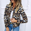 Sizzling Stylish Women's Long Sleeve Jacket Sweater Top Ladies Casual Leopard Print, Cardigan Zipper, Short Outwear, Coat Jacket by Stevvex