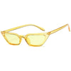 Small Leopard Cateye Design Women Sunglasses Vintage Glasses For Women Summer UV Eyewear Protection Eye Catching Cool Sunglasses For Women Goggles Plastic Frame by Stevvex