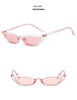 Small Leopard Cateye Design Women Sunglasses Vintage Glasses For Women Summer UV Eyewear Protection Eye Catching Cool Sunglasses For Women Goggles Plastic Frame by Stevvex