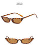 Small Leopard Cateye Design Women Sunglasses Vintage Glasses For Women Summer UV Eyewear Protection Eye Catching Cool Sunglasses For Women Goggles Plastic Frame by Stevvex