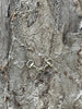 Snaffle Bit Silver Chain Necklace by Wild Junkie