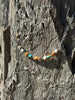 Spiny Oyster Turquoise Beaded Chain Necklace by Wild Junkie