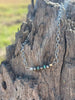 Sterling Silver Beads with Turquoise Rondelle Bracelet by Wild Junkie