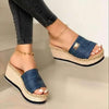 Summer Slippers Women Platform Slipper Fashion High Heeled Shoes Outdoor Beach Sandals For Women Platform Sandals Open Toe Elegant Heels Casual Summer Sandals by Stevvex