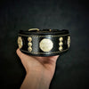 The "Maximus" collar 2 inch wide gold decoration by Bestia Dog Gear