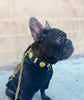 The "Maximus" collar 2 inch wide gold decoration by Bestia Dog Gear