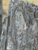 Triple Shot Spiny Oyster Beads Necklace by Wild Junkie