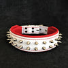 White "Frenchie" dog collar by Bestia Dog Gear