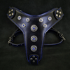 ''Bijou'' harness Black & Blue for big dogs by Bestia Dog Gear