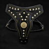 The "Maximus" harness V2 by Bestia Dog Gear