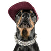 The "Metal" collar- personalized! by Bestia Dog Gear