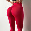 Women Seamless Yoga Pants High Waist Sports Gym Leggings Soft Elastic Women’s Leggings Seamless Shaping High-Waist Control Leggings Push Up Female Fitness Leggings Slim Workout Leggings by Stevvex