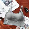 Women Sports Bra Sexy Brathable Sports Top Yoga Bra Push Up Top Female Gym Fitness Sports Underwear Female Seamless bra by Stevvex
