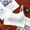 Women Sports Bra Sexy Brathable Sports Top Yoga Bra Push Up Top Female Gym Fitness Sports Underwear Female Seamless bra by Stevvex