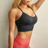 Women Sports Bra Sexy Brathable Sports Top Yoga Bra Push Up Top Female Gym Fitness Sports Underwear Female Seamless bra by Stevvex