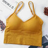 Women Sports Bra Sexy Brathable Sports Top Yoga Bra Push Up Top Female Gym Fitness Sports Underwear Female Seamless bra by Stevvex