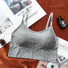Women Sports Bra Sexy Brathable Sports Top Yoga Bra Push Up Top Female Gym Fitness Sports Underwear Female Seamless bra by Stevvex