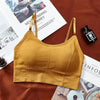 Women Sports Bra Sexy Brathable Sports Top Yoga Bra Push Up Top Female Gym Fitness Sports Underwear Female Seamless bra by Stevvex