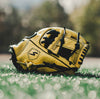 Stinger Yellow Jacket 11.25" Baseball Fielding Glove