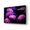 Jellyfish Glass Wall Art by Insigneart USA