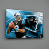 Carolina Panthers Glass Wall Art by Insigneart USA