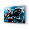 Carolina Panthers Glass Wall Art by Insigneart USA