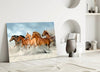 Horses Glass Wall Art by Insigneart USA