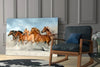 Horses Glass Wall Art by Insigneart USA