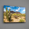 Cactuses Glass Wall Art by Insigneart USA
