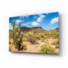 Cactuses Glass Wall Art by Insigneart USA