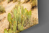 Cactuses Glass Wall Art by Insigneart USA