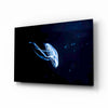Jellyfish Glass Wall Art by Insigneart USA