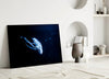 Jellyfish Glass Wall Art by Insigneart USA
