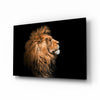 Lion Glass Wall Art by Insigneart USA