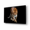 Tiger Glass Wall Art by Insigneart USA