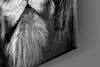Lion Glass Wall Art by Insigneart USA