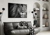 Lion Glass Wall Art by Insigneart USA