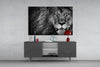 Lion Glass Wall Art by Insigneart USA