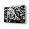 Puma Glass Wall Art by Insigneart USA