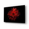Flower Glass Wall Art by Insigneart USA