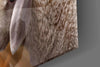 God'S Hand And The Sheep Glass Wall Art by Insigneart USA