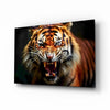 Tiger Glass Wall Art by Insigneart USA