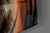 Tiger Glass Wall Art by Insigneart USA