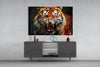 Tiger Glass Wall Art by Insigneart USA
