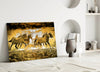 Horse Art Glass Wall Art by Insigneart USA