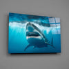 Shark Glass Wall Art by Insigneart USA