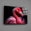 Flamingo Glass Wall Art by Insigneart USA